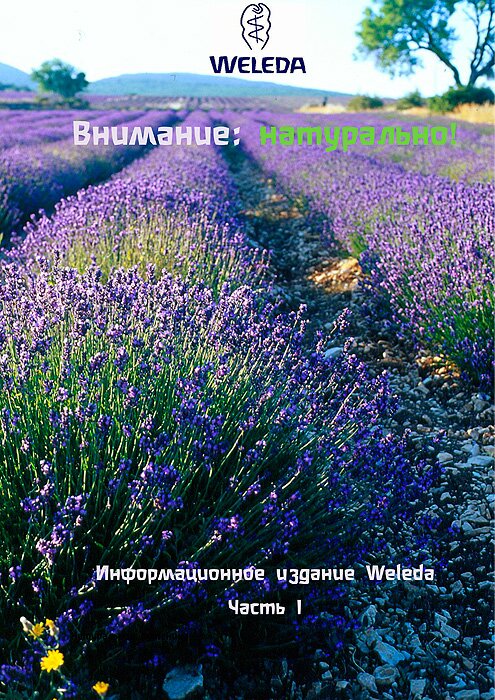image_1.jpg